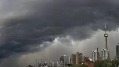 82BD8B3A 00B2 4D18 AC8B 941E6FBD576E