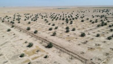 83EAE535 1F85 41FB A51D 8EC67AB29DE7