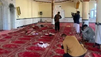 8950629A C0D4 4536 810E 3317554837B6