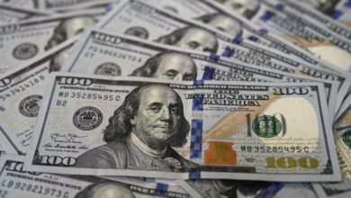 8D918166 2B0F 4DA5 8209 5CBE6FCAA32A