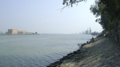 93ABCBFA F90A 484F B9CD CE473CB53A07