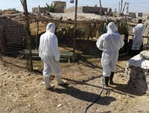 94F91C73 B12E 4B1F 9BC1 406C57641479