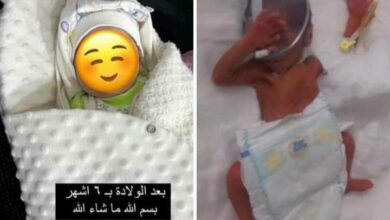 955D8067 5755 4C76 9046 018C7C4B8FC0