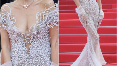 9ABDA6E5 F3D1 4FB6 842D 1A77486EF959