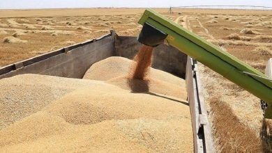 9F63CD49 426D 4039 BDD1 0EB713CB211C