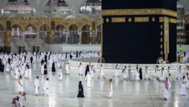 A64F431C 9C8D 4C88 951C FBD96FE0F634