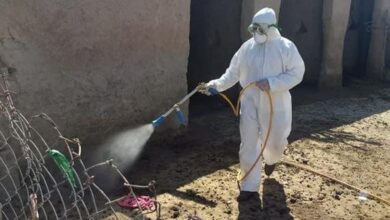 ADC9D69C 7D36 4FE2 8507 B02C3049C748