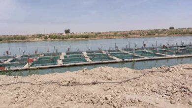 B5EE3320 7F2D 4311 A2AC 35F104E9A589