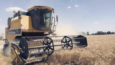 B854B4E4 AB96 4806 9F0D 80E99C1187B2