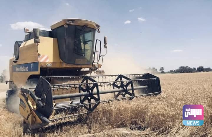 زراعة بابل تعلن عن كميات الحنطة المتسلّمة 1 B854B4E4 AB96 4806 9F0D 80E99C1187B2