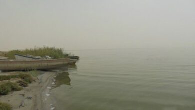 BB2F5A56 11AE 49D2 ADDD 9841829F97D4