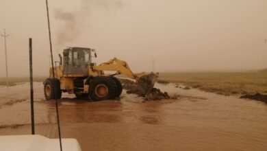 BD2E76BA 657B 4793 9910 F1ED2B65B9EF