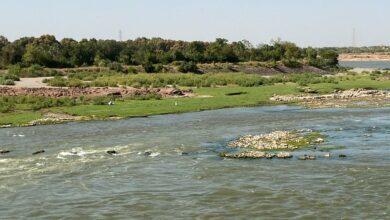 C0BE8940 468D 4C61 97B1 94BB0579C725