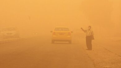 C116E44C 1A0A 4C2F 89D6 6216FA307E80