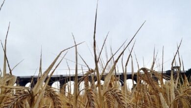 C6637D32 201C 4D54 B7B8 EA07E2304D8C