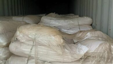 C6941A96 C521 4403 82CA 45AB3117F18F