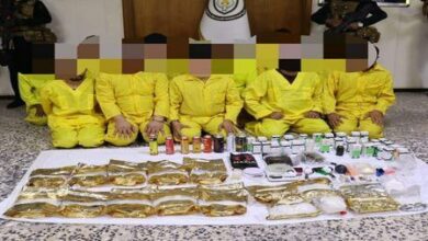 D46DDD39 D7BB 4FE8 A19D 4D4689DD9F6B