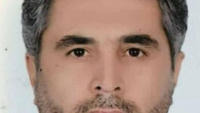 D4BC7D42 3FE8 4B9E 9C33 739340B72CE9