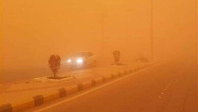 D9F809D6 2E37 40E7 A545 EC3A0E6D941C