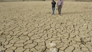 تحقيق نسب إنجاز متقدمة بمشروع معالجة ملوحة الفرات والتصحر في 3 محافظات 4 DC7592F4 1039 4C58 9F77 1C0DF49FE69B