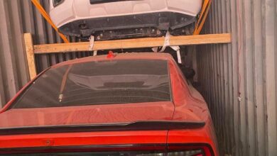 DFA97850 BE35 4843 B464 83D780D07ED6