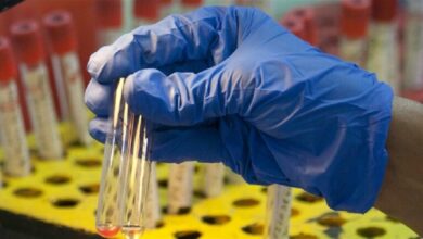 Doc P 422109 637895820804407197