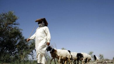 E3D11810 D7FC 4550 B1AA 1AD79F480F84