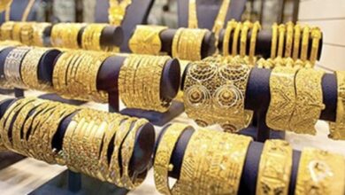 E3E52053 B244 4881 9192 FD0E58D5D50C