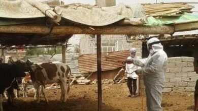 E77BBDA9 B0A6 4939 B0B7 2B883BA05116