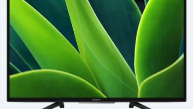 EE338102 F6E0 4260 BF3F 82A0CAD85C4C