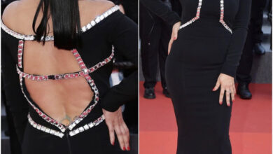 EFCD3539 CAA9 45C8 BF9A 43C866D40C7F