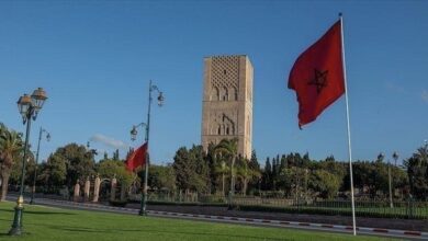 FA31C53F 9376 40D2 AA3E BD5361DB7043