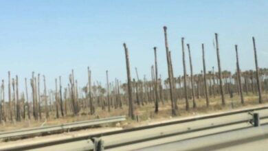 FB IMG 1653054782075