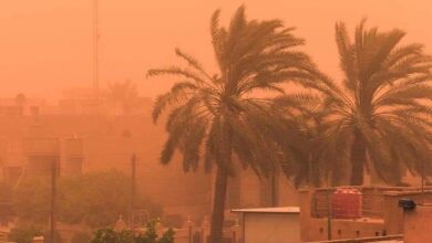 FB IMG 1653935835788