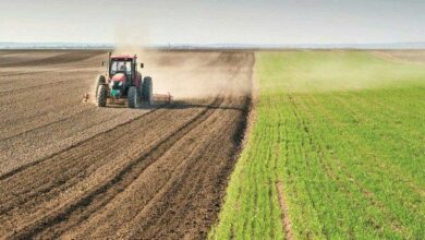 IMG 20220502 100717 558