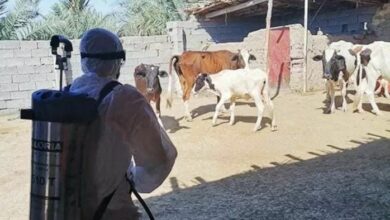 IMG 20220504 180457 873