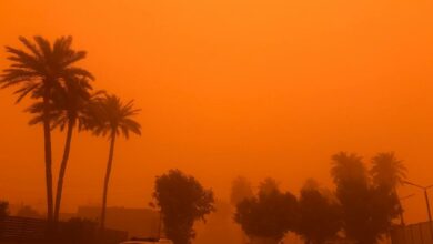 IMG 20220505 003334 299