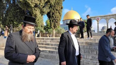 IMG 20220505 130542 512