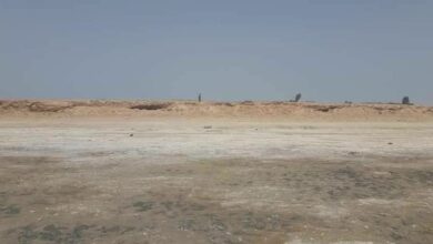 الموارد المائية توضح اسباب جفاف بحيرة ساوة في محافظة المثنى 2 IMG 20220508 213416 419