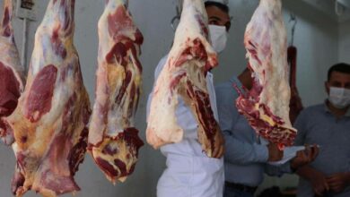 IMG 20220508 213714 433