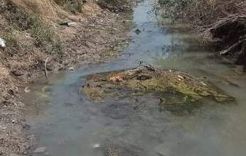 IMG 20220509 110127 597