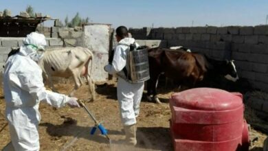 IMG 20220510 173538 479