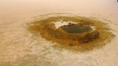 IMG 20220510 195823 122