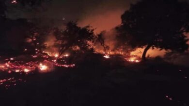 IMG 20220515 090730 682