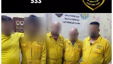 IMG 20220517 113242 504