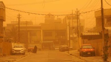 IMG 20220521 100751 721