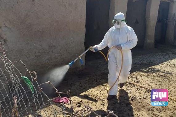محافظة البصرة تتخذ خمسة إجراءات لمواجهة الحمى النزفية (وثيقة) 3 IMG 20220522 162557 918
