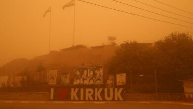 IMG 20220523 095059 674