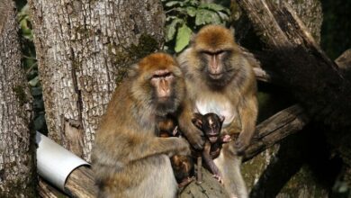 IMG 20220523 110437 548