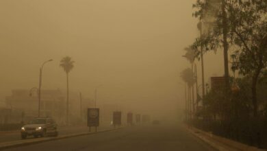 IMG 20220523 112258 752